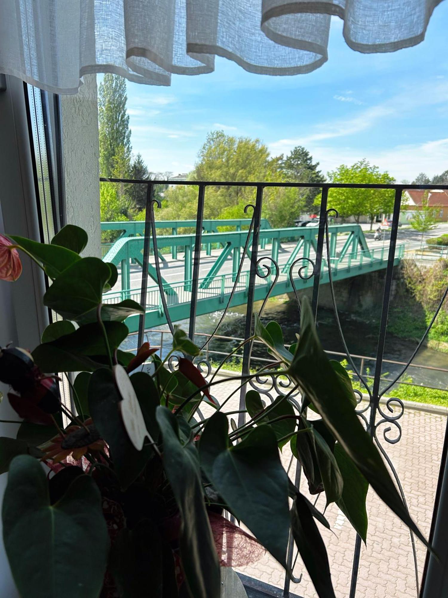 Fruehstueckspension Elena Nicoleta Caltun Fischamend Buitenkant foto